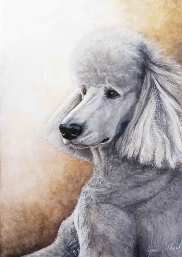 Poodle portrait